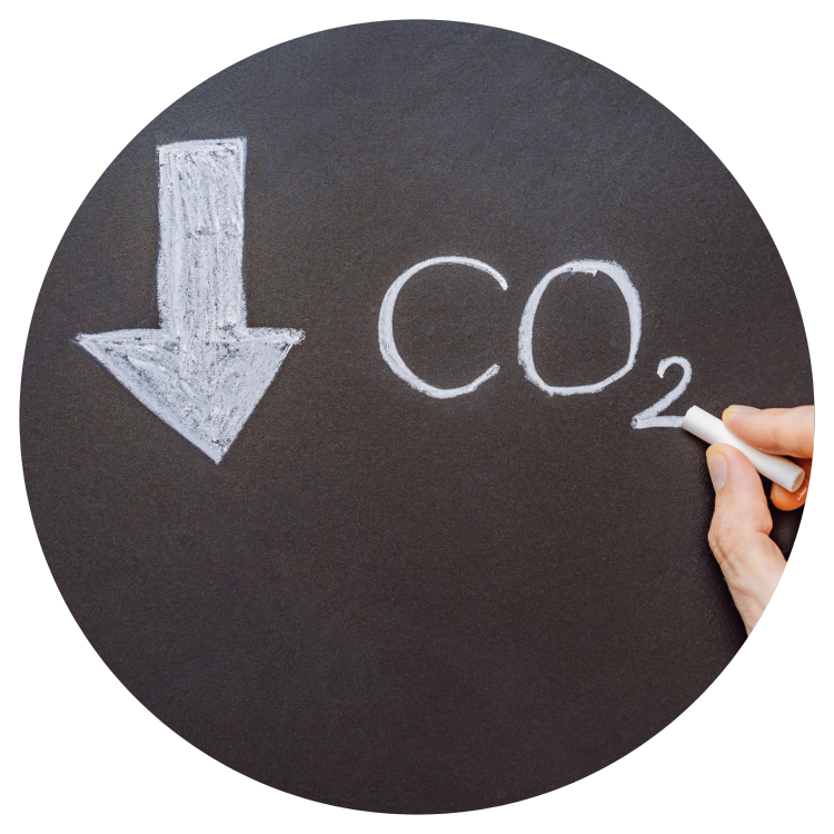 Copy of Copy of Carbon emissions (2)